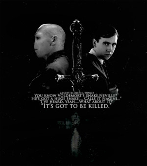 Harry Potter Voldemort and Neville