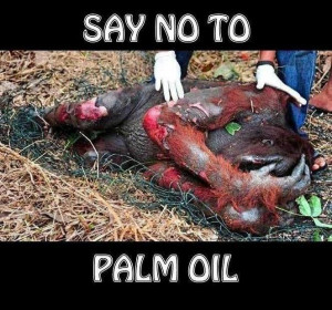 goodbyesupernova:16yearoldvegan:veganmovement2012:‘No’ To Palm Oil ...