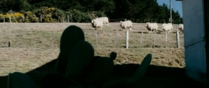 black sheep 2006 0 views movie info full cast quotes black sheep 2006 ...
