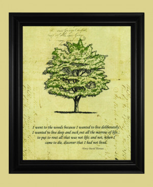 Henry David Thoreau Quote, Green Tree Art Drawing, Beautiful Nature ...