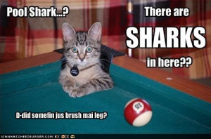 funny dog pictures with captions, funny animal pictures with sayings ...