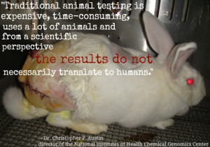 Reasons Why Animal Testing Doesn’t Help Humans