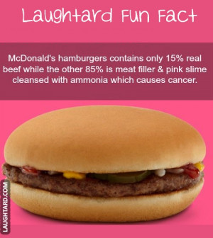 Mcdonalds Burger Fact | Laughtard