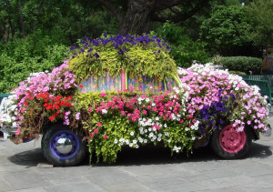 Hippie VW Bug Image