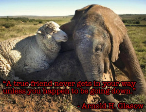 20 Of The Wisest Things Ever Said About Friendship