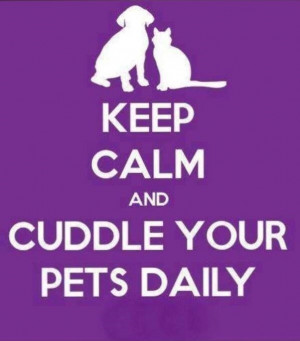Keep calm and cuddle your pets