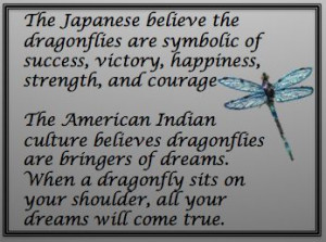 The Story of the Dragonfly...thanks Chase!!