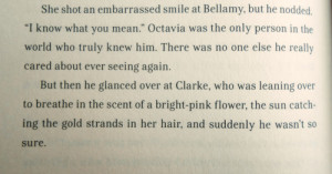 Bellarke excerpt from the 100 by Kass Morgan