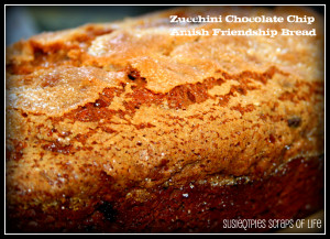SusieQTpies Cafe: Amish Friendship Bread Zucchini Chocolate Chip ...