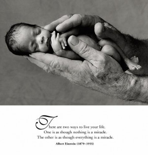 my son paul s bible and pro life book it features over 300 bible ...