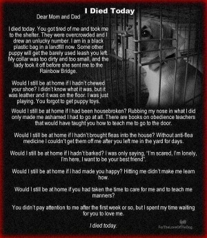 Uploaded to Pinterest