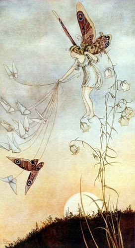 Ida Rentoul Outhwaite.: Ida Outhwaite, Butterflies, Art, Faeries, Ida ...