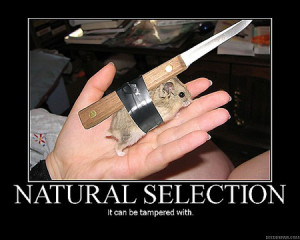 Funny Motivational Poster-Natural Selection