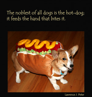 dog-picture-quote-hot-dog.jpg