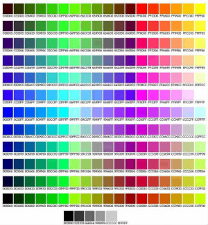 Colore html: il codice esadecimale di tutti i colori (anche per i CSS)