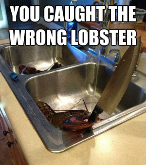 You caught the wrong lobster. Lobster coming out of a kitchen sink ...