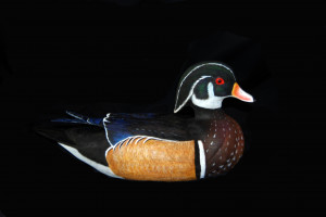 Lil Wayne Images Crazy Gallery