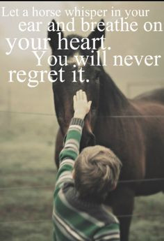 Horse quotes More