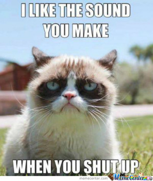 grumpy cat memes titanic grumpy cat memes titanic grumpy cat
