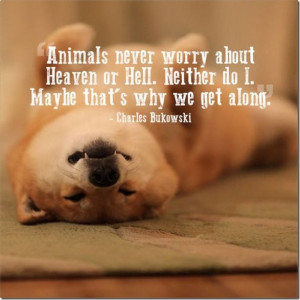 Quotes For the Love of Your Pets [20 Photos]