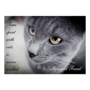 Beautiful cat quote poster - Motivational
