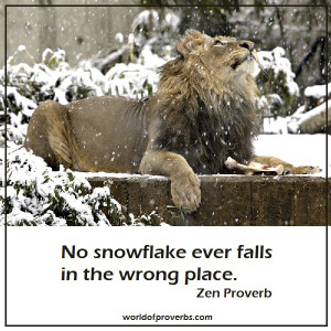 No snowflake ever falls in the wrong place.