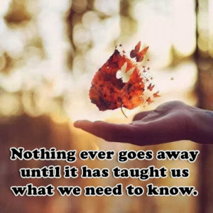 Nothing Ever Goes Away until It Teaches Us