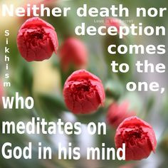 Neither Death Nor Deception Comes To The One, Who Meditates On God In ...