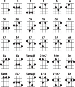chords and techniques will be required to learn how to play the guitar ...
