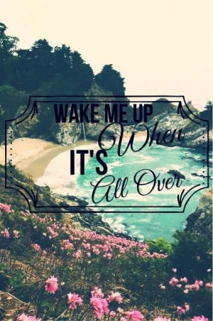Avicii - Wake Me Up (True)