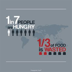 Infographics on Global Hunger + Microfinance