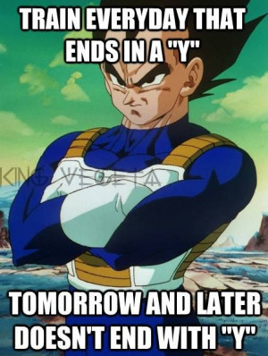 Wise words from Vegeta