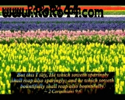 Spring with Bible Verses Scenic Reflections Screensaver Screenshots