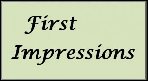 First Impressions Reasons Why Impression Wrong