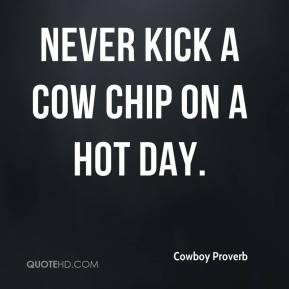 Cowboy Proverb - Never kick a cow chip on a hot day.
