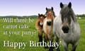 happy birthday from the herd from mr ed happy birthday