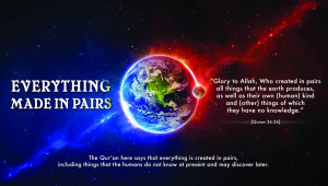 Picture Perfect : Quran & Modern Science – Allah created in Pairs ...