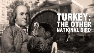 Benjamin Franklin didn’t propose the wild turkey as a symbol for ...