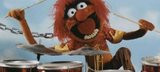 Muppet Animal Pictures | Muppet Animal Images | Muppet Animal Graphics ...