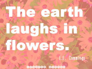 Best Sunday Quotes About Flower