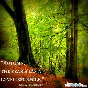 Autumn Season Quotes Quotes: reflections on the