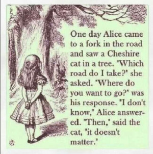 Alice in Wonderful quote
