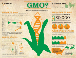 GMO? Genetically Modified Organism Infographic
