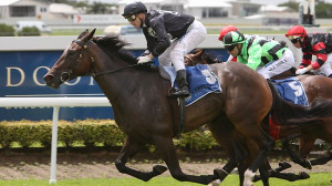 Bruce Brown hoping Black Magic can weave a spell on rare Sydney trip ...