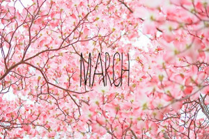 time to refresh. Happy March!