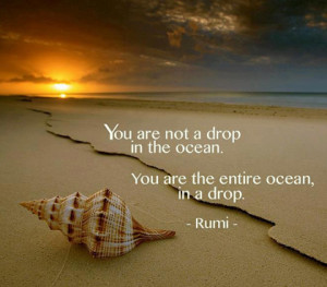 these Rumi Quotes. Please share these with your family and friends ...