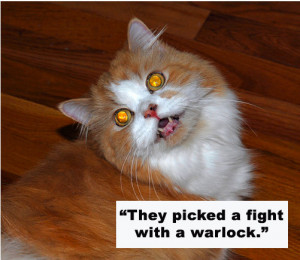 They Picked A Fight With A Warlock ” ~ Cat Quotes