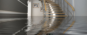 It Could Be Your Basement… Preventing and protecting your basement ...