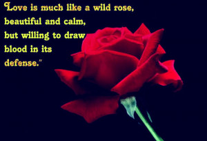 Best 2015 Happy Rose Day Quotes for Friends & Lovers