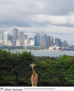 My first time in Sydney! | Funny Pictures, Quotes, Pics, Photos ...